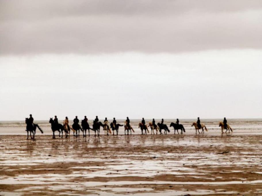 Ty Ar Mor Maison De La Mer, A 40 M De La Plage Saint-Michel-en-Greve Екстер'єр фото